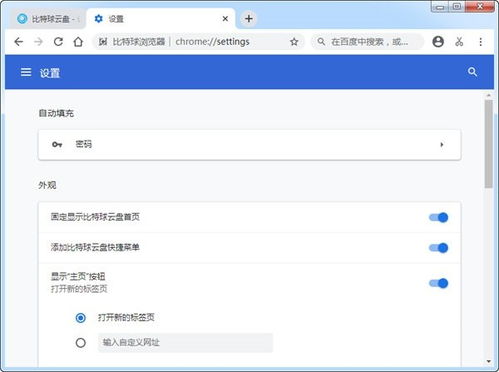 比特球瀏覽器軟件下載與使用指南 v1.2.7.1官方版在當(dāng)易網(wǎng)上的安全獲取